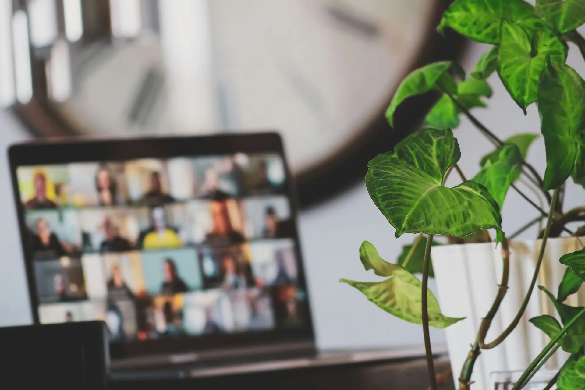 Webinars & Workshops Webinars & Workshops